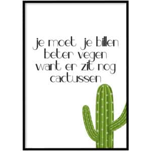 WC Poster - cactussen
